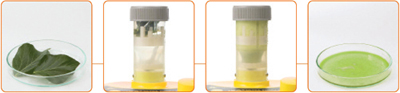 Homogenizer02